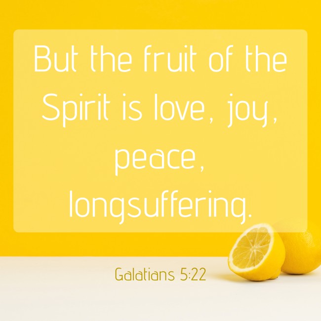  But the fruit of the Spirit is love, joy, peace, longsuffering.   - Galatians 5:22 