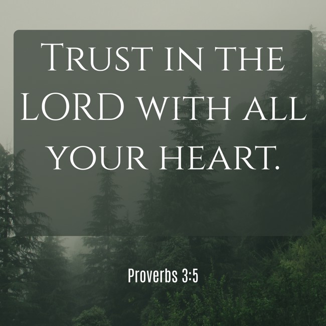  Trust in the LORD with all your heart.   - Proverbs 3:5 