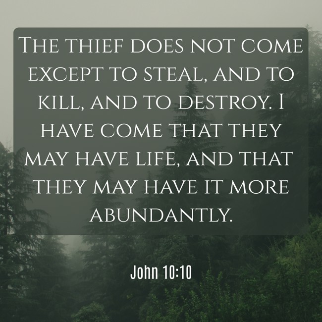 The thief does not come except to steal, and to kill, and to destroy. I have come that they may have life, and that they may have it more abundantly.
- John 10:10