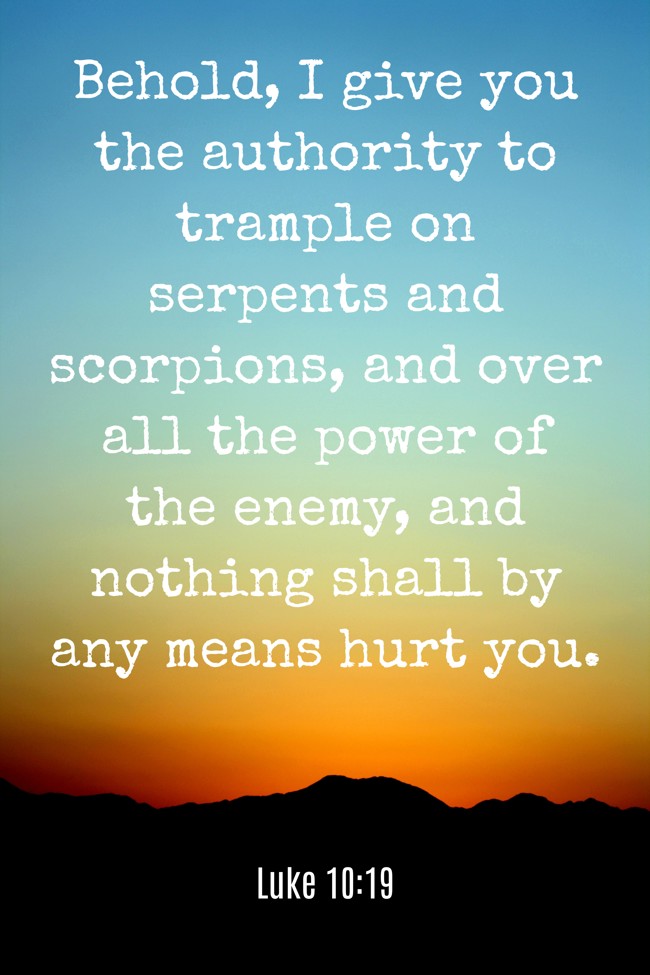 Behold, I give you the authority to trample on serpents and scorpions, and over all the power of the enemy, and nothing shall by any means hurt you.
- Luke 10:19