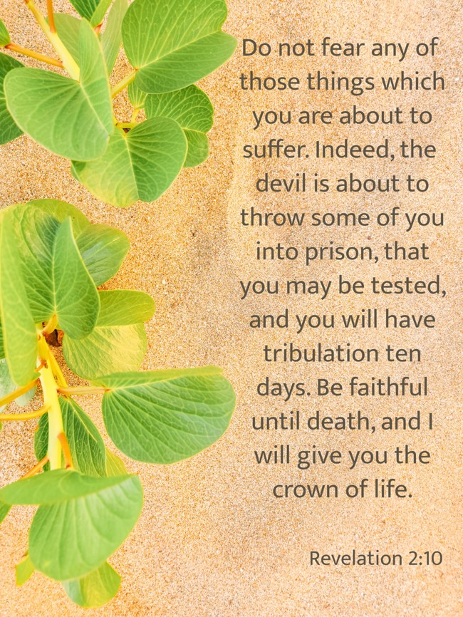 Do not fear any of those things which you are about to suffer. Indeed, the devil is about to throw some of you into prison, that you may be tested, and you will have tribulation ten days. Be faithful until death, and I will give you the crown of life.
- Revelation 2:10