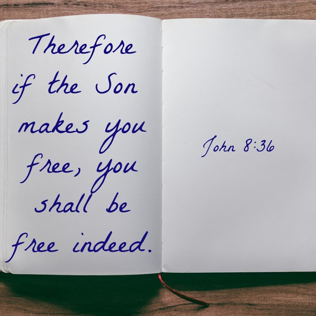 Therefore if the Son makes you free, you shall be free indeed. - John 8:36