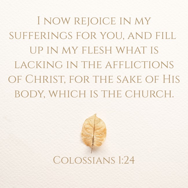I now rejoice in my sufferings for you, and fill up in my flesh what is lacking in the afflictions of Christ, for the sake of His body, which is the church. - Colossians 1:24
