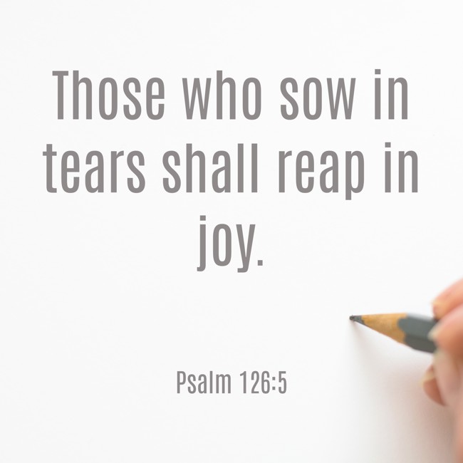 Those who sow in tears shall reap in joy. - Psalm 126:5
