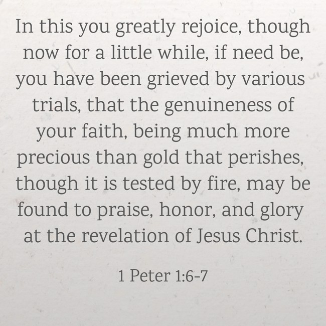 In this you greatly rejoice, though now for a little while, if need be, you have been grieved by various trials, that the genuineness of your faith, being much more precious than gold that perishes, though it is tested by fire, may be found to praise, honor, and glory at the revelation of Jesus Christ. - 1 Peter 1:6-7