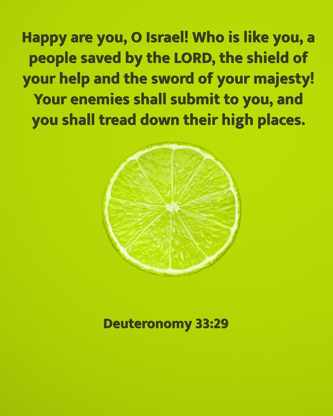 Happy are you, O Israel! Who is like you, a people saved by the LORD, the shield of your help and the sword of your majesty! Your enemies shall submit to you, and you shall tread down their high places. - Deuteronomy 33:29