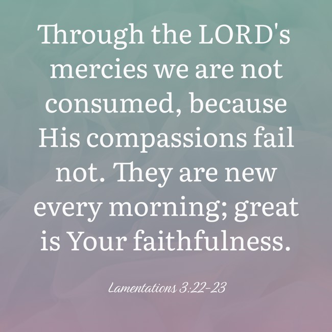 Through the LORD's mercies we are not consumed, because His compassions fail not. They are new every morning; great is Your faithfulness. - Lamentations 3:22-23
