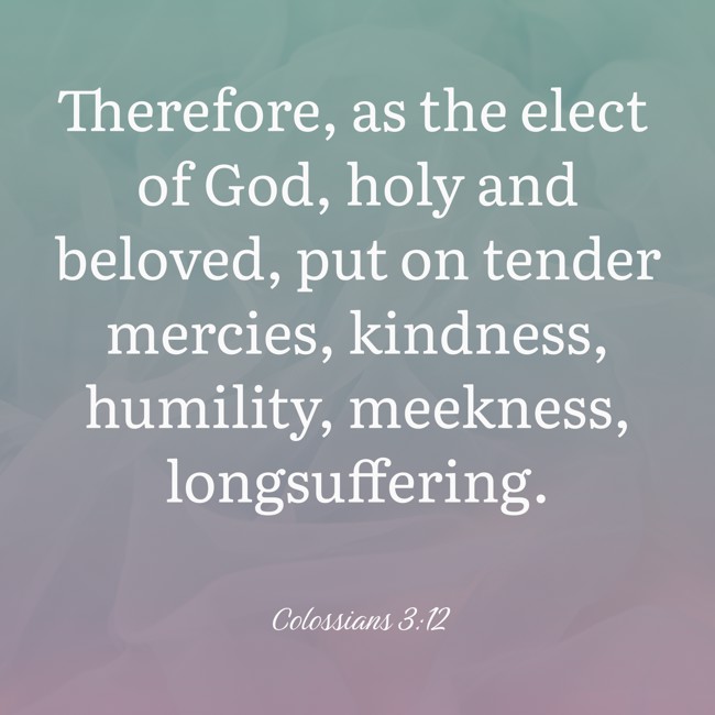 Therefore, as the elect of God, holy and beloved, put on tender mercies, kindness, humility, meekness, longsuffering. - Colossians 3:12