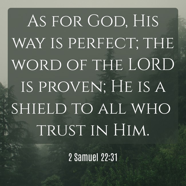As for God, His way is perfect; the word of the LORD is proven; He is a shield to all who trust in Him. - 2 Samuel 22:31