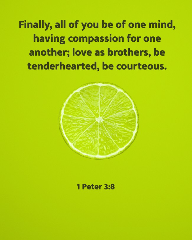Finally, all of you be of one mind, having compassion for one another; love as brothers, be tenderhearted, be courteous. - 1 Peter 3:8
