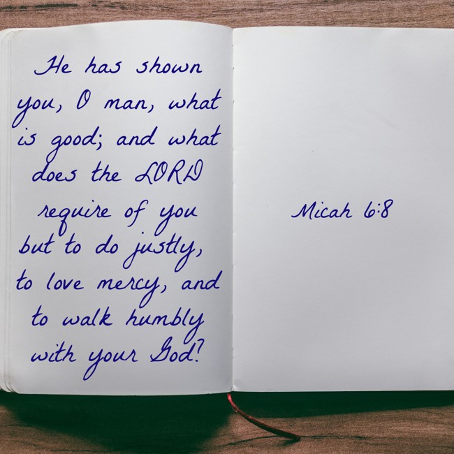 He has shown you, O man, what is good; and what does the LORD require of you but to do justly, to love mercy, and to walk humbly with your God? - Micah 6:8
