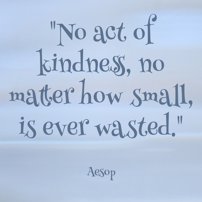 No act of kindness, no matter how small, is ever wasted. - Aesop