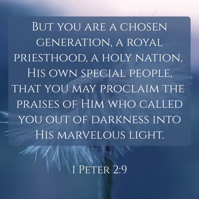 But you are a chosen generation, a royal priesthood, a holy nation, His own special people, that you may proclaim the praises of Him who called you out of darkness into His marvelous light. - 1 Peter 2:9