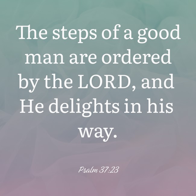 The steps of a good man are ordered by the LORD, and He delights in his way. - Psalm 37:23