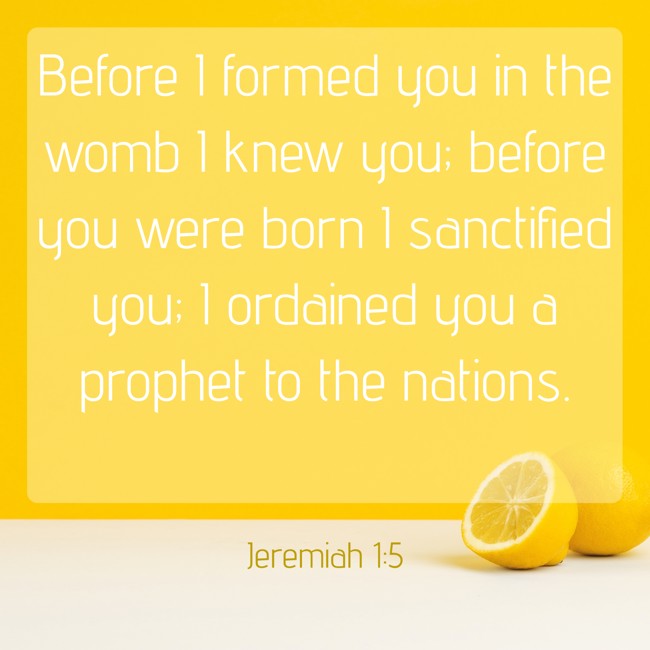 Before I formed you in the womb I knew you; before you were born I sanctified you; I ordained you a prophet to the nations. - Jeremiah 1:5