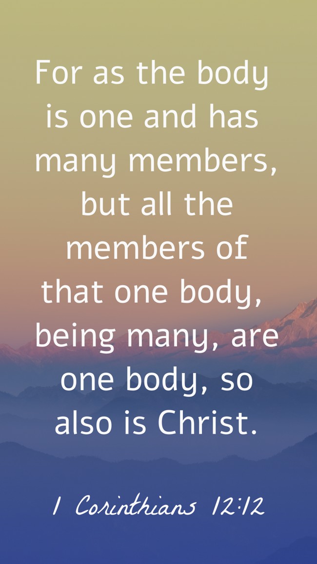 For as the body is one and has many members, but all the members of that one body, being many, are one body, so also is Christ. - 1 Corinthians 12:12