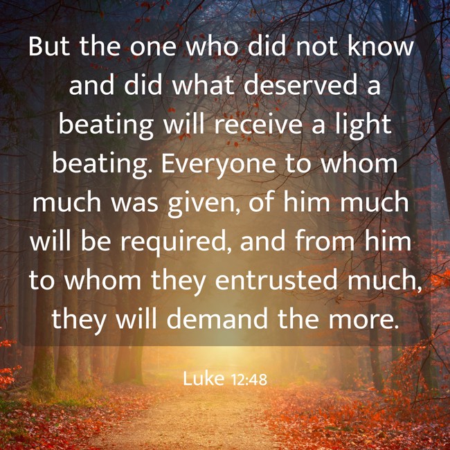 But the one who did not know and did what deserved a beating will receive a light beating. Everyone to whom much was given, of him much will be required, and from him to whom they entrusted much, they will demand the more. - Luke 12:48