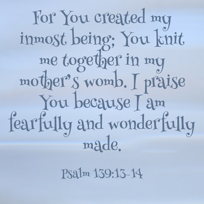 For You created my inmost being; You knit me together in my mother’s womb. I praise You because I am fearfully and wonderfully made. - Psalm 139:13-14