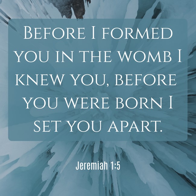 Before I formed you in the womb I knew you, before you were born I set you apart. - Jeremiah 1:5