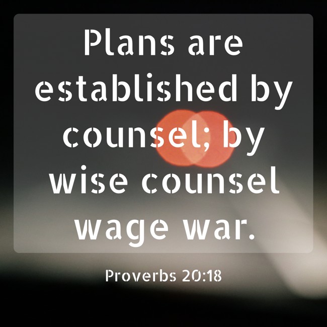 Plans are established by counsel; by wise counsel wage war. - Proverbs 20:18
