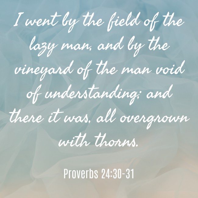 I went by the field of the lazy man, and by the vineyard of the man void of understanding; and there it was, all overgrown with thorns. - Proverbs 24:30-31