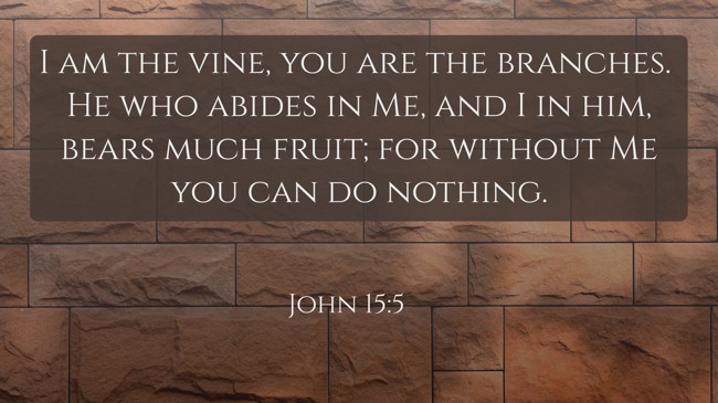 I am the vine, you are the branches. He who abides in Me, and I in him, bears much fruit; for without Me you can do nothing. - John 15:5