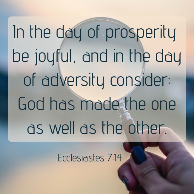 In the day of prosperity be joyful, and in the day of adversity consider: God has made the one as well as the other. - Ecclesiastes 7:14