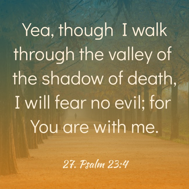 Yea, though I walk through the valley of the shadow of death, I will fear no evil; for You are with me. - 27. Psalm 23:4