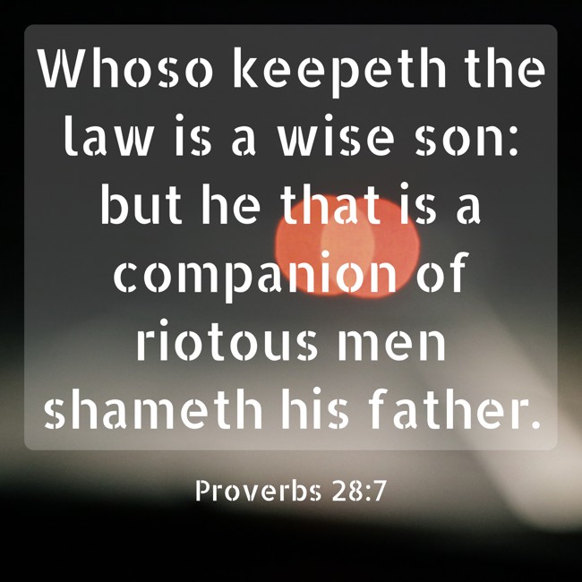 Whoso keepeth the law is a wise son: but he that is a companion of riotous men shameth his father. - Proverbs 28:7