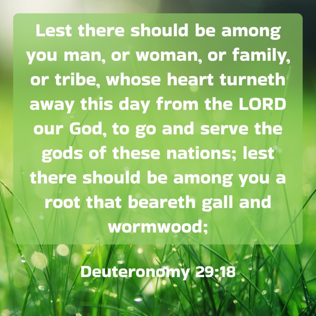 Lest there should be among you man, or woman, or family, or tribe, whose heart turneth away this day from the LORD our God, to go and serve the gods of these nations; lest there should be among you a root that beareth gall and wormwood; - Deuteronomy 29:18