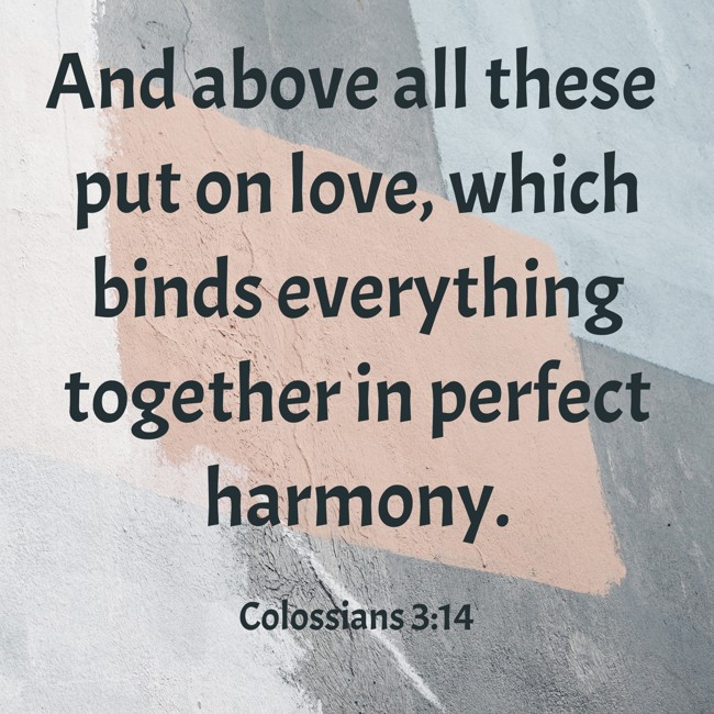 And above all these put on love, which binds everything together in perfect harmony. - Colossians 3:14