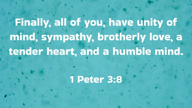 Finally, all of you, have unity of mind, sympathy, brotherly love, a tender heart, and a humble mind. - 1 Peter 3:8