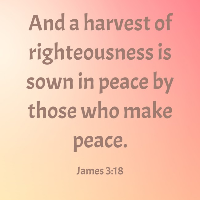 And a harvest of righteousness is sown in peace by those who make peace. - James 3:18