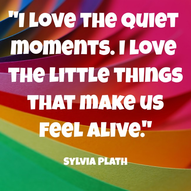 I love the quiet moments. I love the little things that make us feel alive. - Sylvia Plath