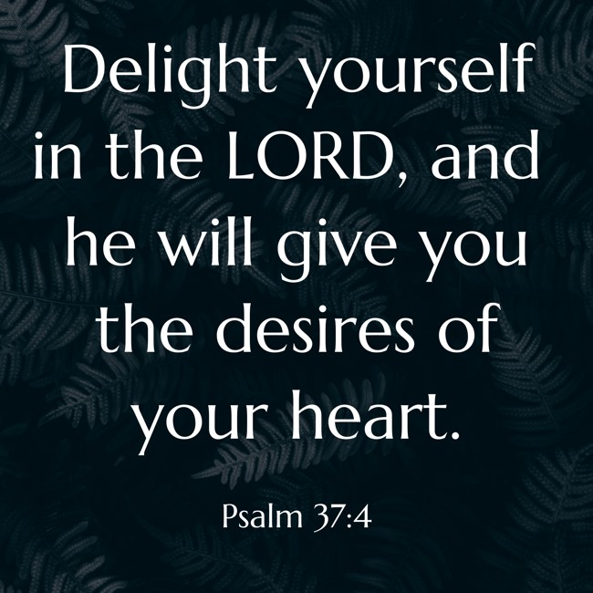 Delight yourself in the LORD, and he will give you the desires of your heart. - Psalm 37:4