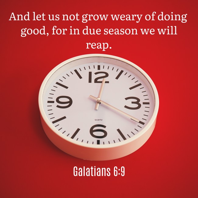 And let us not grow weary of doing good, for in due season we will reap. - Galatians 6:9