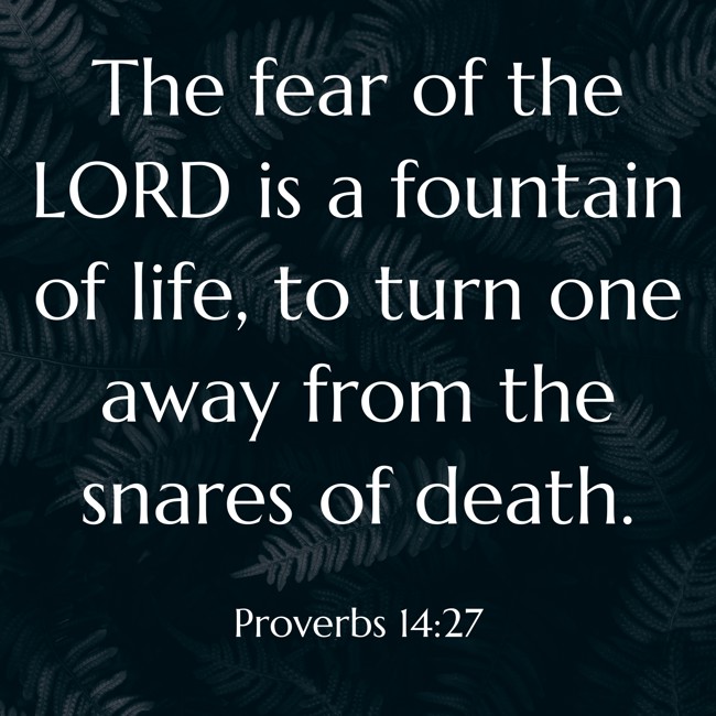  The fear of the LORD is a fountain of life, to turn one away from the snares of death.   - Proverbs 14:27 