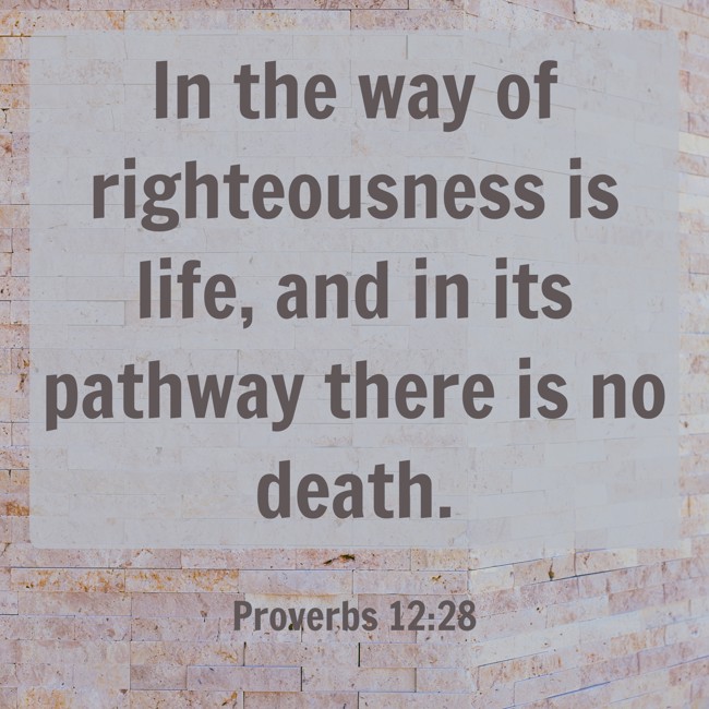  In the way of righteousness is life, and in its pathway there is no death.   - Proverbs 12:28 
