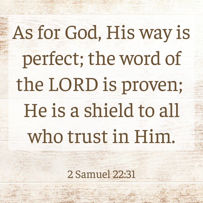  As for God, His way is perfect; the word of the LORD is proven; He is a shield to all who trust in Him.   - 2 Samuel 22:31 