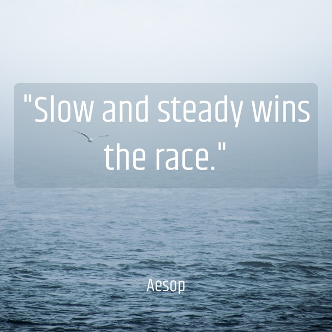  Slow and steady wins the race.   - Aesop 