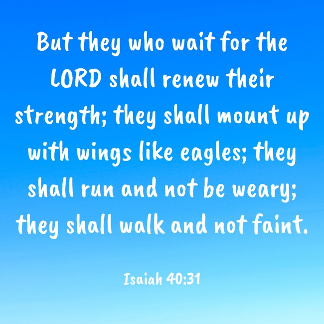  But they who wait for the LORD shall renew their strength; they shall mount up with wings like eagles; they shall run and not be weary; they shall walk and not faint.   - Isaiah 40:31 