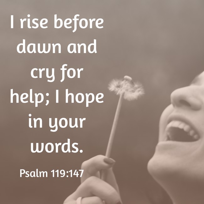  I rise before dawn and cry for help; I hope in your words.   - Psalm 119:147 