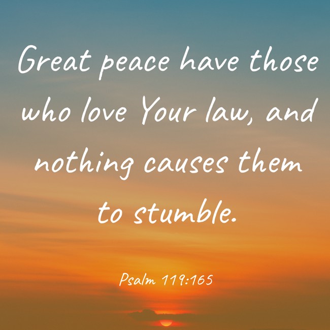 Great peace have those who love Your law, and nothing causes them to stumble. - Psalm 119:165