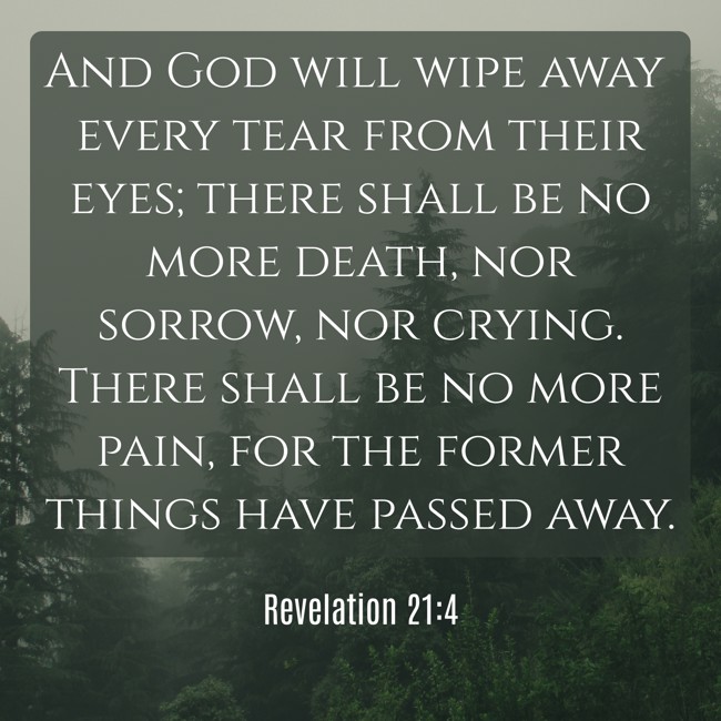 And God will wipe away every tear from their eyes; there shall be no more death, nor sorrow, nor crying. There shall be no more pain, for the former things have passed away. - Revelation 21:4