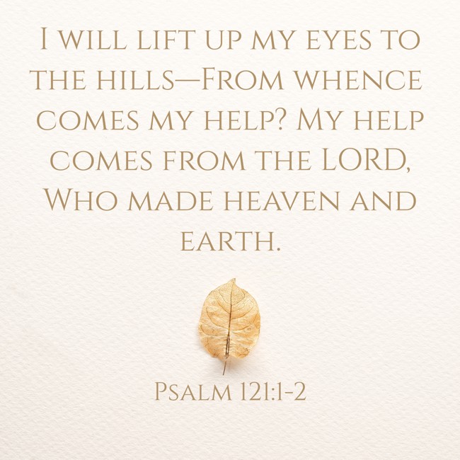I will lift up my eyes to the hills—From whence comes my help? My help comes from the LORD, Who made heaven and earth. - Psalm 121:1-2