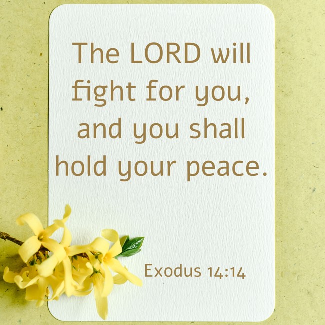The LORD will fight for you, and you shall hold your peace. - Exodus 14:14