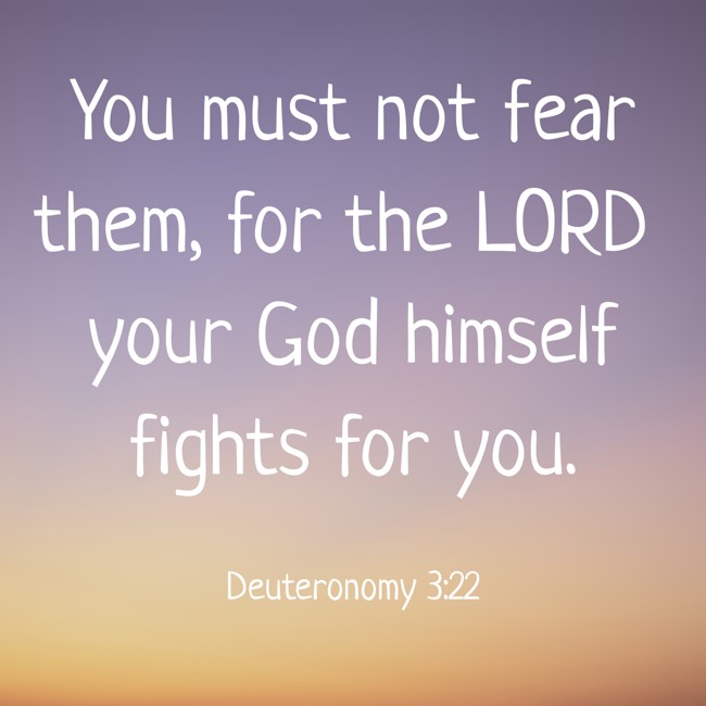 You must not fear them, for the LORD your God himself fights for you. - Deuteronomy 3:22