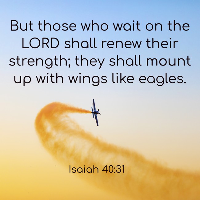 But those who wait on the LORD shall renew their strength; they shall mount up with wings like eagles. - Isaiah 40:31