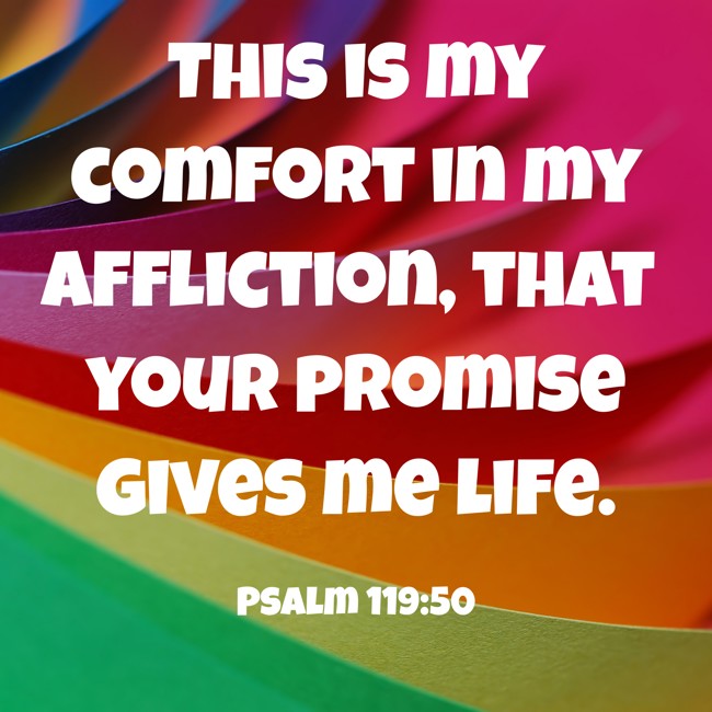 This is my comfort in my affliction, that your promise gives me life. - Psalm 119:50