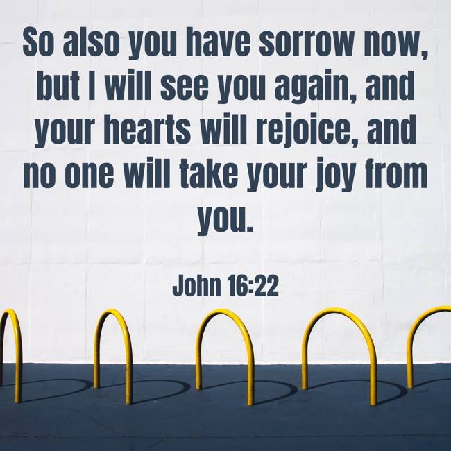 So also you have sorrow now, but I will see you again, and your hearts will rejoice, and no one will take your joy from you. - John 16:22